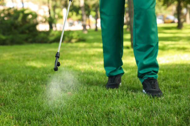 Pest Control Cost in Fountain Hill, PA